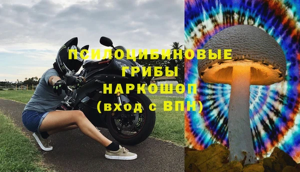 марихуана Абаза